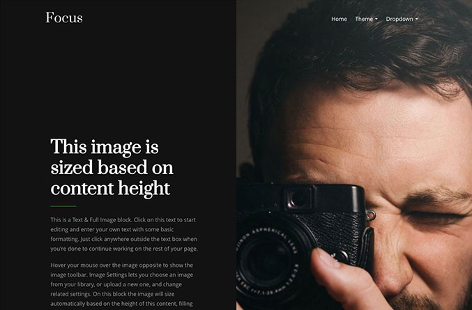 Focus Website Template